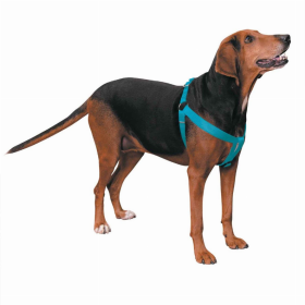 CC Nylon 2 Step Dog Harness (Color: Turqouise, size: 9-15in)