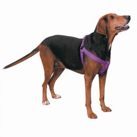 CC Nylon 2 Step Dog Harness (Color: Purple, size: 9-15in)