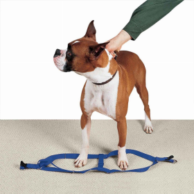 CC Nylon 2 Step Dog Harness (Color: Royal Blue, size: 15-25in)