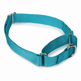 GG Nylon Martingale Dog Collar (Color: Light Blue, size: 10-16in)