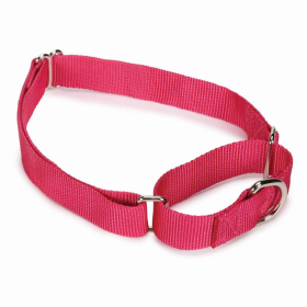 GG Nylon Martingale Dog Collar (Color: Pink, size: 10-16in)