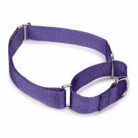 GG Nylon Martingale Dog Collar (Color: Purple, size: 10-16in)