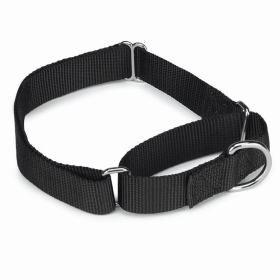 GG Nylon Martingale Dog Collar (Color: Black, size: 10-16in)