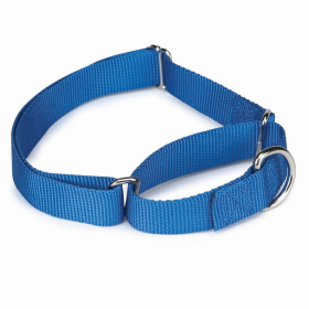 GG Nylon Martingale Dog Collar (Color: Blue, size: 14-20in)