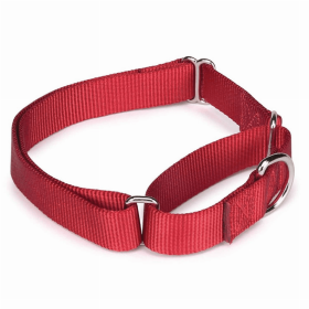 GG Nylon Martingale Dog Collar (Color: Red, size: 18-26in)