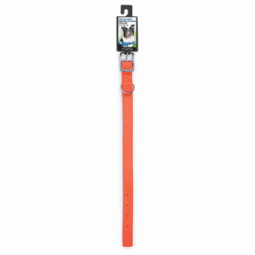 DGR 1in Nylon Dog Collar (Color: Neon Orange, size: 18in)