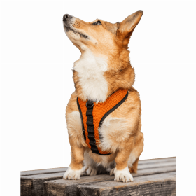 K9 Sport Dog Harness (Color: Sunset Orange, size: X-Small (11-13" Neck 11-15" Chest))