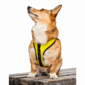 K9 Sport Dog Harness (Color: Buttercup Yellow, size: X-Small (11-13" Neck 11-15" Chest))