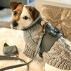 PoisePup Dog Harness