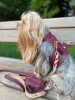 PoisePup Dog Harness