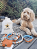 PoisePup - Luxury Dog Leash