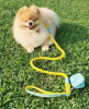 PoisePup - Luxury Dog Leash