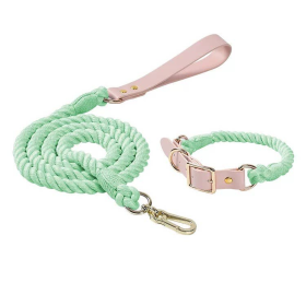 Luxe Royal Leather Rope Dog Leash and Collar Set (Color: Mint Green)