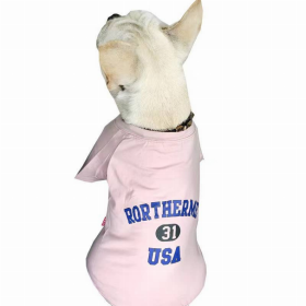 USA - Matching Pet and Owner Clothing Set (Color: Pink, size: small)