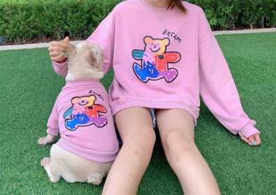 Teddy Bear - Matching Pet and Owner Clothing Set (Color: Pink, size: small)