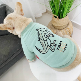 Dinosaur Love - Matching Pet and Owner Clothing Set (Color: Mint Green, size: XL)