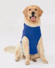 Doggie Skins Gameday Dog Hoodie (Color: Blue, size: 3XL)