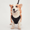 Mr. Peanut's PetTrek Reflective Pet Harness With Matching Leash