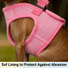 Mr. Peanut's PupTrek Soft Mesh Step In Dog Harness