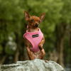 Mr. Peanut's PupTrek Soft Mesh Step In Dog Harness