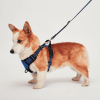 Mr. Peanut's PetTrek Reflective Pet Harness With Matching Leash