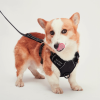 Mr. Peanut's PetTrek Reflective Pet Harness With Matching Leash