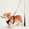 Mr. Peanut's PetTrek Reflective Pet Harness With Matching Leash