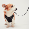 Mr. Peanut's PetTrek Reflective Pet Harness With Matching Leash