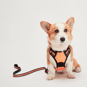 Mr. Peanut's PetTrek Reflective Pet Harness With Matching Leash (Color: Orange, size: medium)