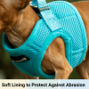 Mr. Peanut's PupTrek Soft Mesh Step In Dog Harness