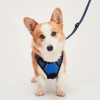 Mr. Peanut's PetTrek Reflective Pet Harness With Matching Leash