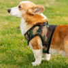 Mr. Peanut's PupTrek Soft Mesh Step In Dog Harness