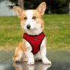 Mr. Peanut's PupTrek Soft Mesh Step In Dog Harness