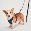 Mr. Peanut's PetTrek Reflective Pet Harness With Matching Leash