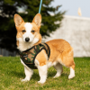 Mr. Peanut's PupTrek Soft Mesh Step In Dog Harness