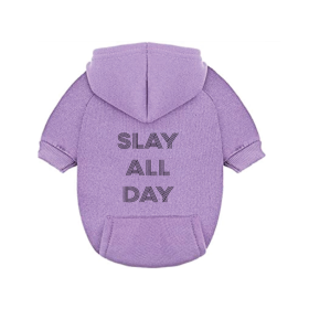 Slay All Day Dog Hoodie (size: small)