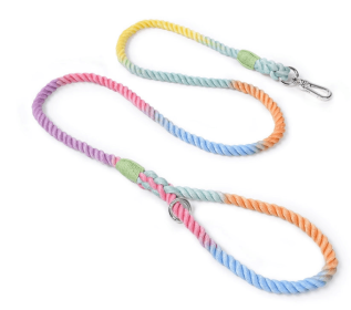 Rope Leash by Puppy Community (Color: Rainbow)