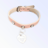 Pretty in Pink and Sniffany Dog Collar