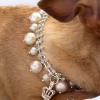 Rhinestone & Pearl Crown Dog Necklace