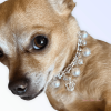 Rhinestone & Pearl Crown Dog Necklace