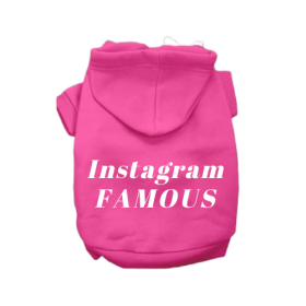 IG Famous Hoodie (Color: Pink, size: small)