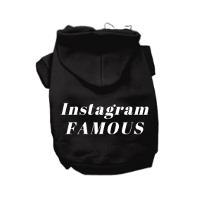 IG Famous Hoodie (Color: Black, size: X Small)