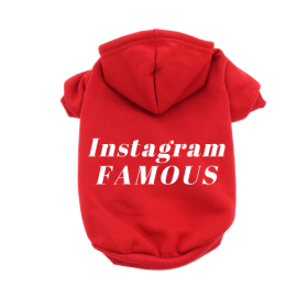 IG Famous Hoodie (Color: Red, size: small)