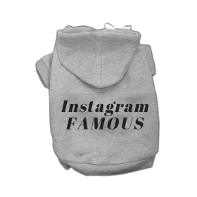 IG Famous Hoodie (Color: Grey, size: X Small)