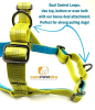 Omni Multi-Connection Dog Harness