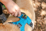 Millvue EZ Fit Dog Harness