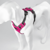 Millvue EZ Fit Dog Harness