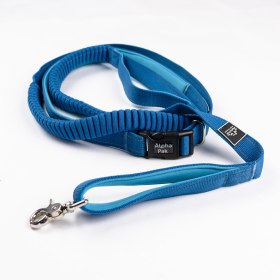 Cascades Metallic Blue Stretchable Runner Dog Leash (size: 6 to 10 feet when stretched.)