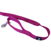 Cascades Plum Boysenberry Stretchable Runner Dog Leash