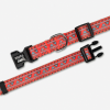 Alpha Pak Natchez Pattern Dog Collar